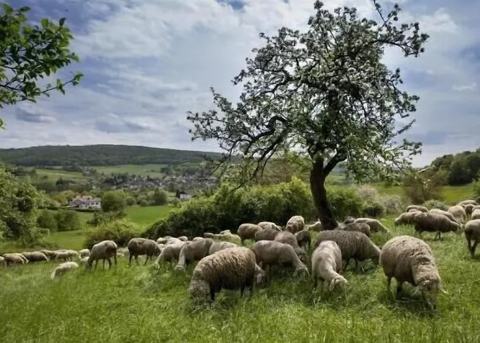 Akzent Haus Sonnenberg Szálloda 3*